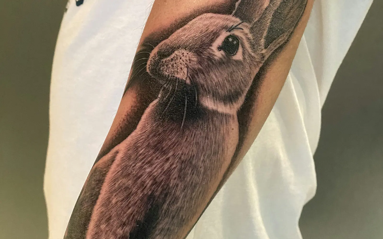 Rabbit tattoo on arm