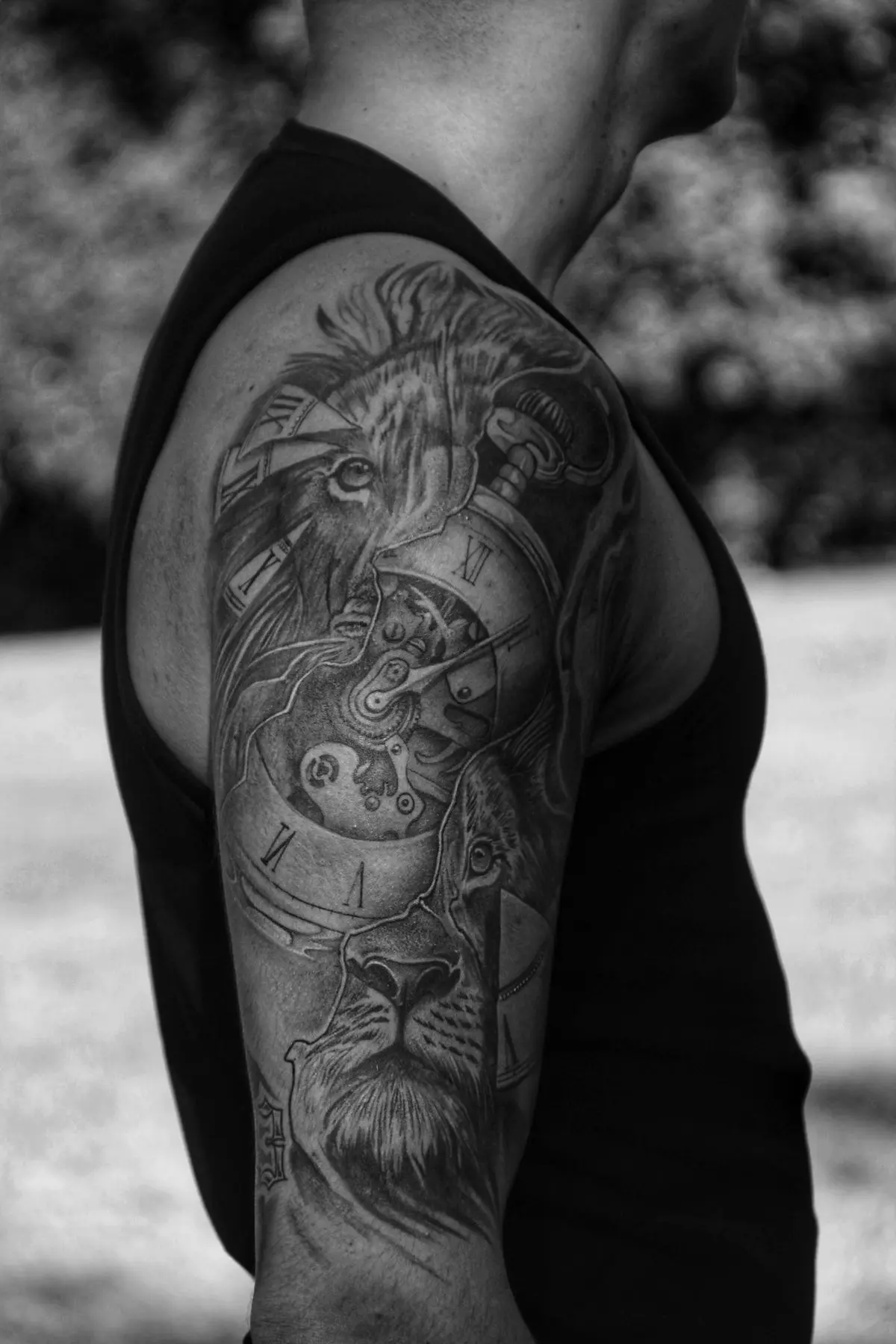 Black-and-grey realism half-sleeve of a lion with clockwork gears on the upper arm